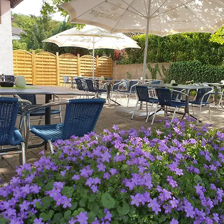 Hotel & Flammerie Pfeffermuehle Landstuhl