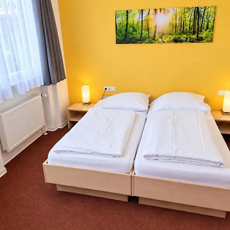 & Flammerie Pfeffermuehle 3* Landstuhl